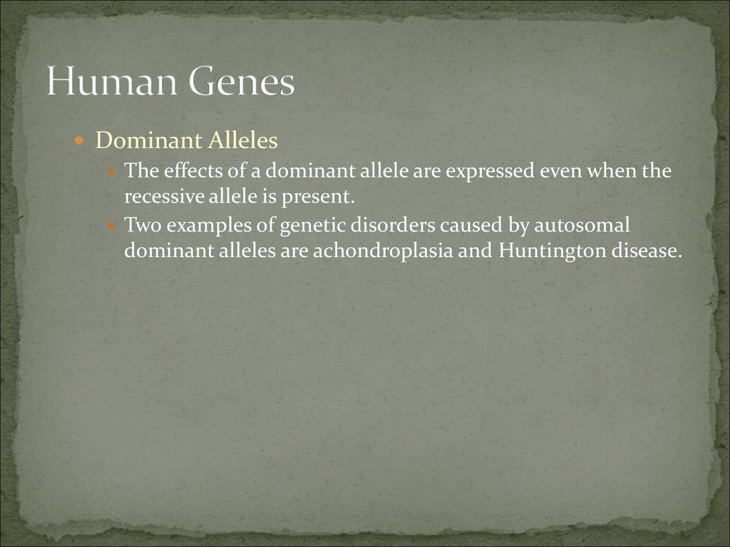 14-1-human-heredity-photo-credit-richard-hutchings-photo-researchers