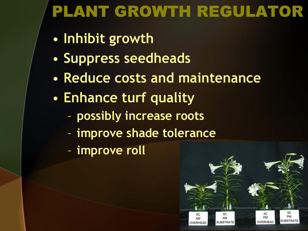 PLANT GROWTH REGULATOR