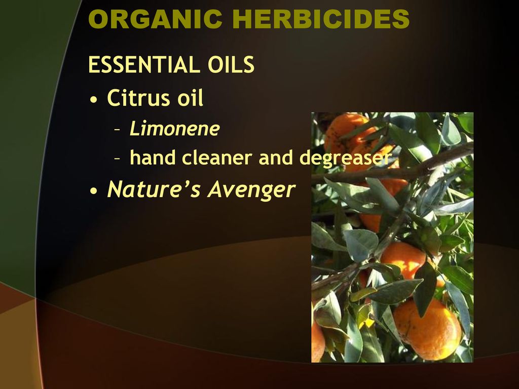ORGANIC HERBICIDES ESSENTIAL OILS Citrus oil Nature’s Avenger Limonene