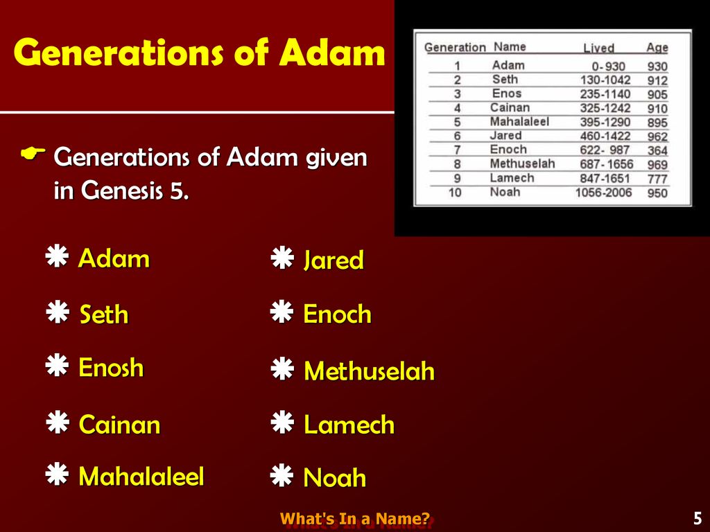 Introduction People Often Say What s In A Name Ppt Download introduction-people-often-say-what-s-in-a-name-ppt-download
