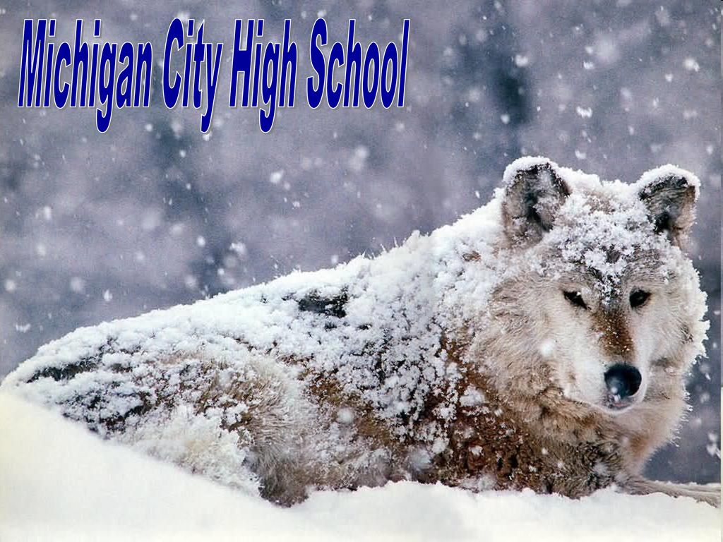 Michigan City High School Michigan City High School