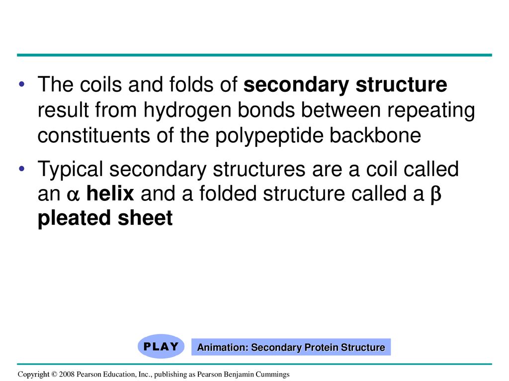 Proteins account for more than 50% of the dry mass of most cells - ppt  download