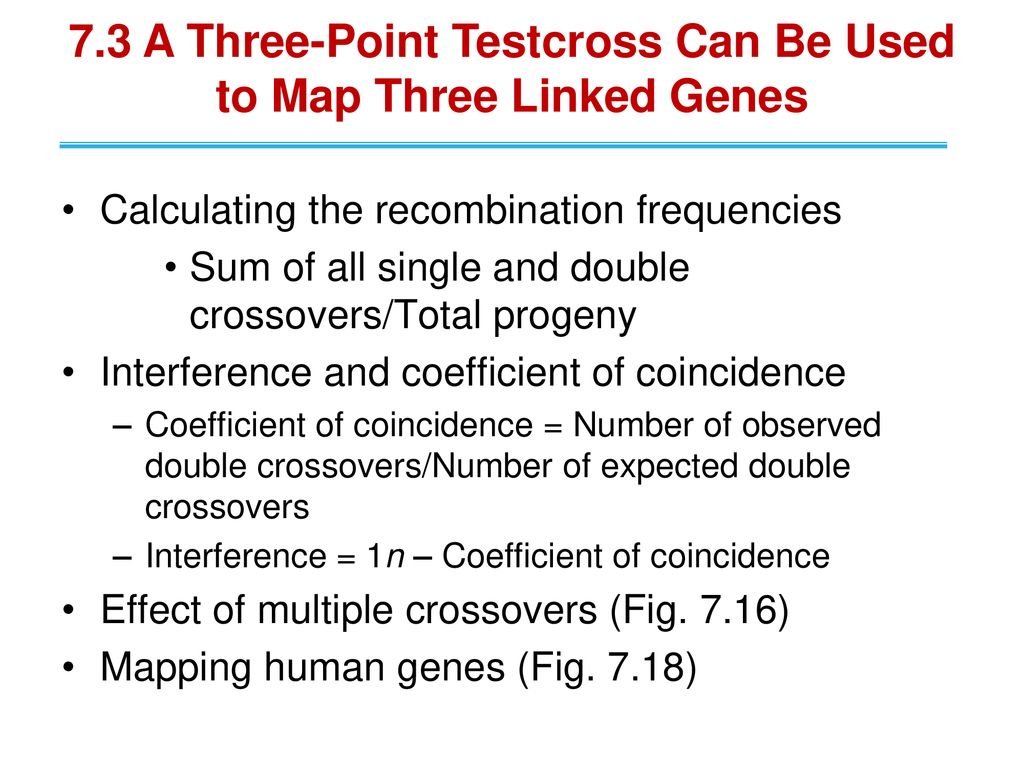 Genetic Mapping: Three-point Testcross and Double Crossover Interference