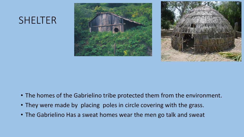 SHELTER The homes of the Gabrielino tribe protected them from the environment. They were made by placing poles in circle covering with the grass.