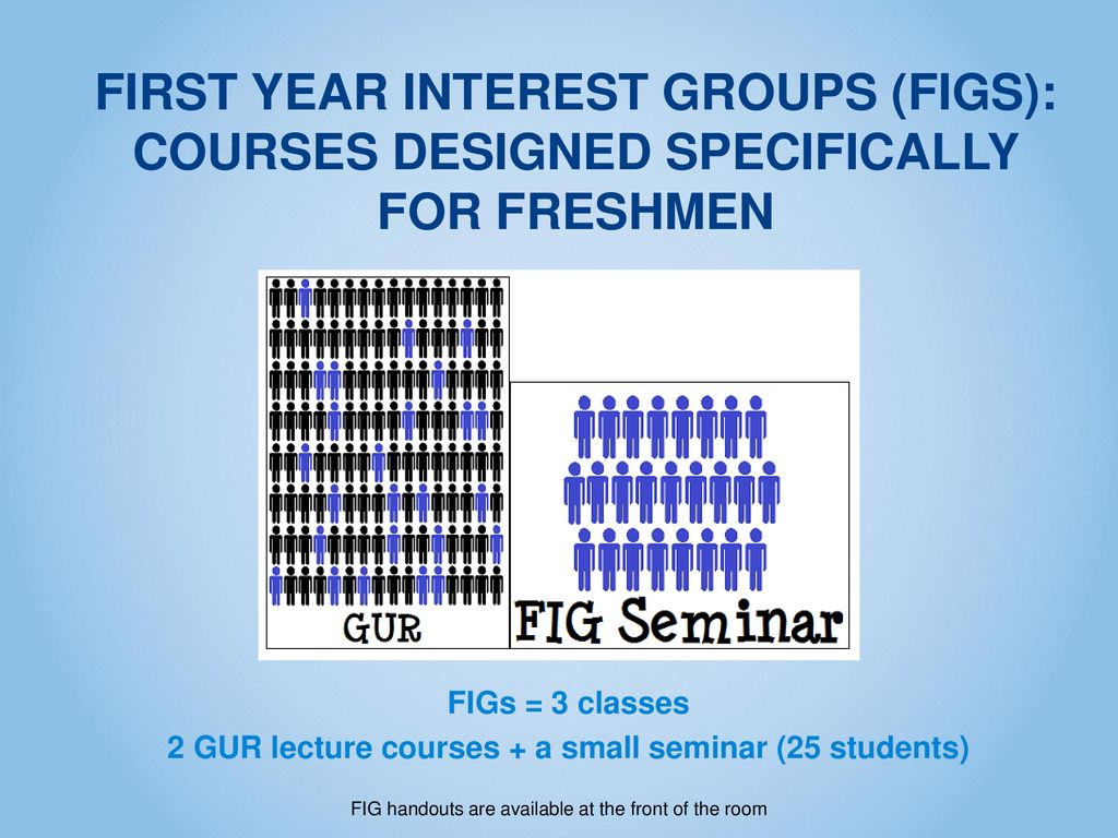 FIRST YEAR INTEREST GROUPS (FIGS):