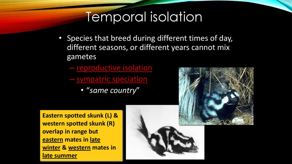 Speciation ppt download