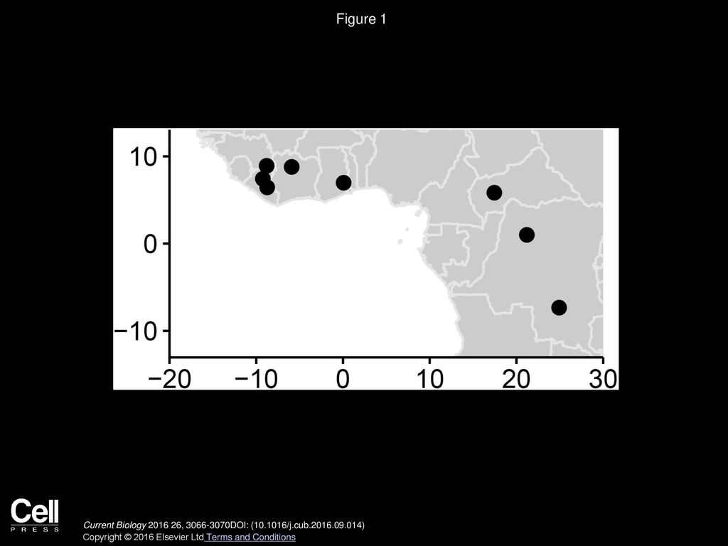 Figure 1 Winter Locations for Common Swifts in Africa