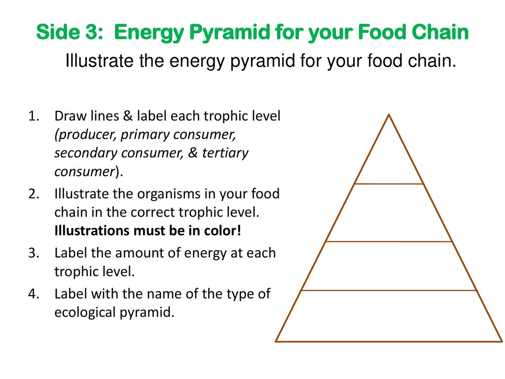Imagine you and Pyramid head are ask on a what date the and food you ask what the food will be and he says grra pfxp *metal clanking noises* and then he