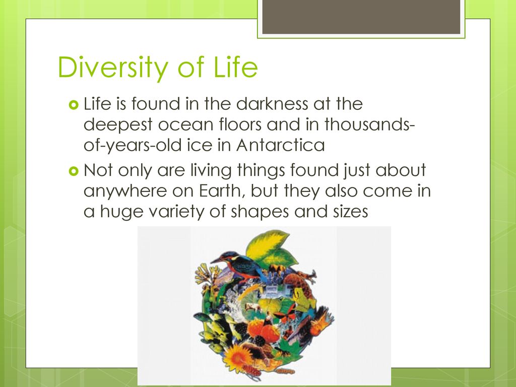 Diversity of Life Life is found in the darkness at the deepest ocean floors and in thousands-of-years-old ice in Antarctica.