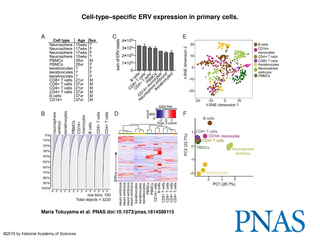 Cell-type–specific ERV expression in primary cells. - ppt download
