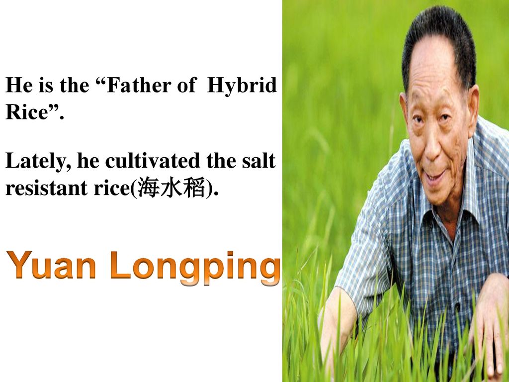 Yuan Longping He is the Father of Hybrid Rice .