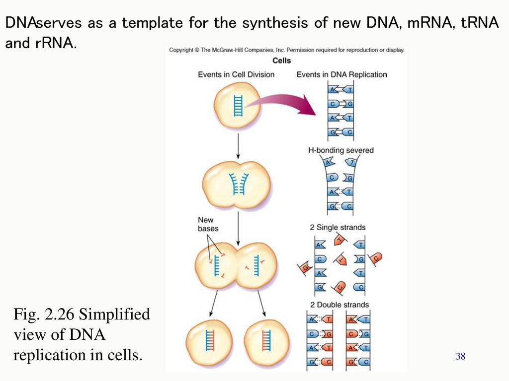 Microbiology: A Systems Approach ppt download