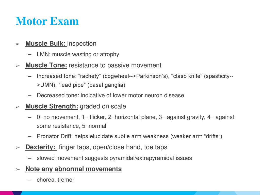 Motor Exam Muscle Bulk: inspection
