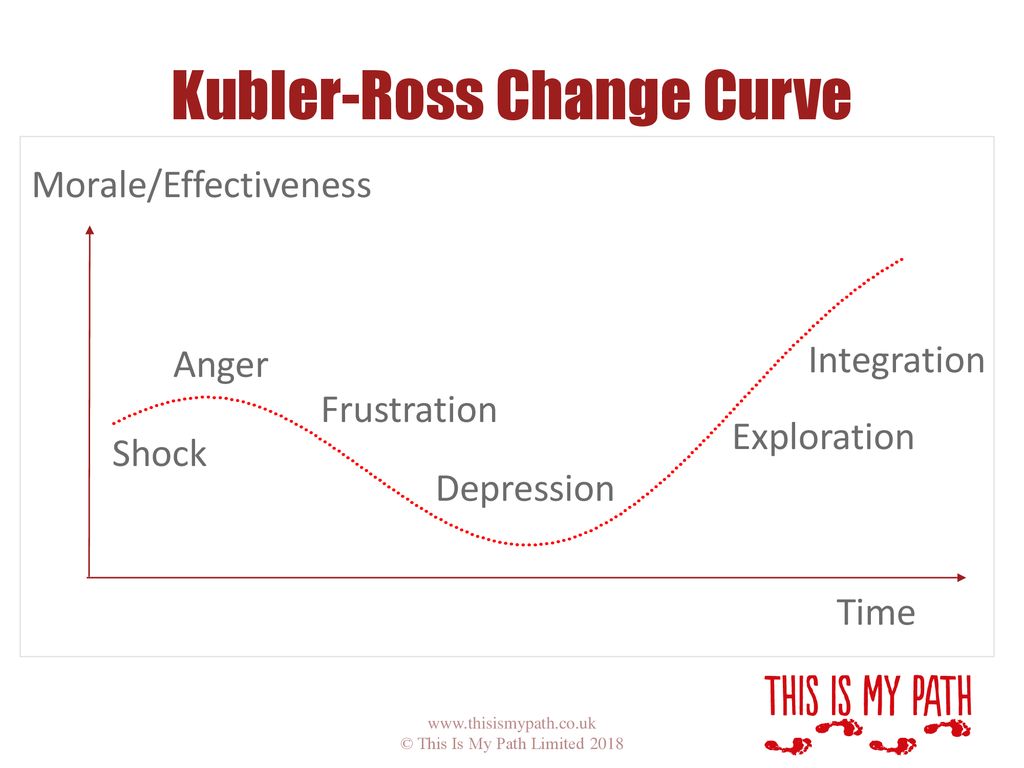 Managing Change A Transition Perspective - ppt download