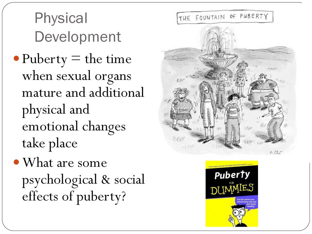 Physical Development Puberty = the time when sexual organs mature and additional physical and emotional changes take place.