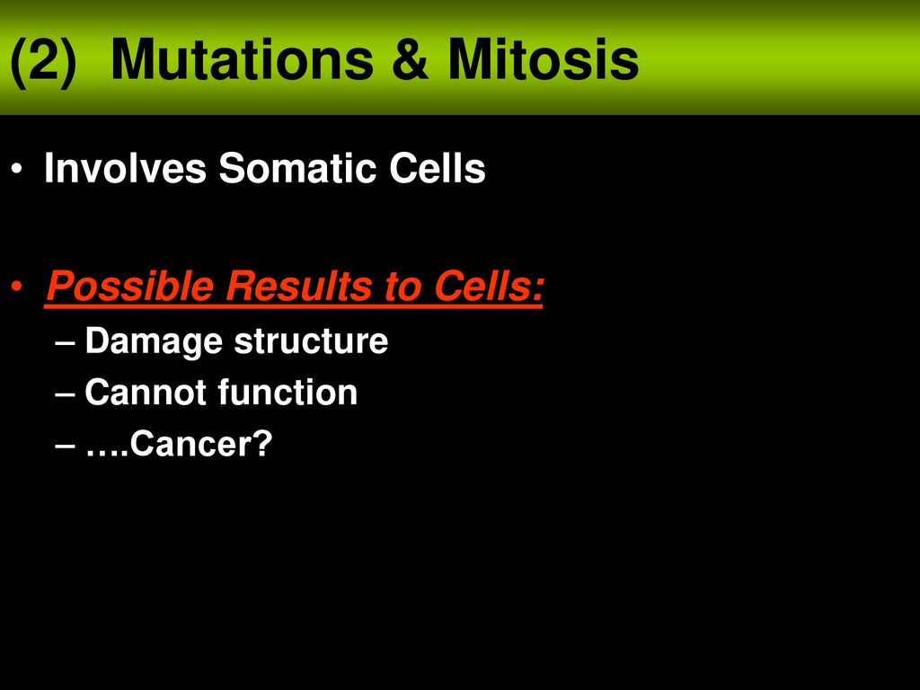 Unit 6 Notes: Cancer & Mutations Biology Diagrams