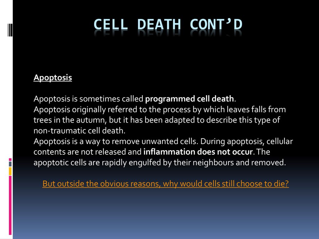Cell death, Cancer cells and the Cell cycle Biology Diagrams