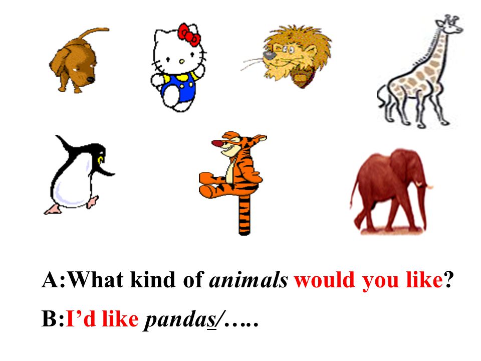 A:What kind of animals would you like