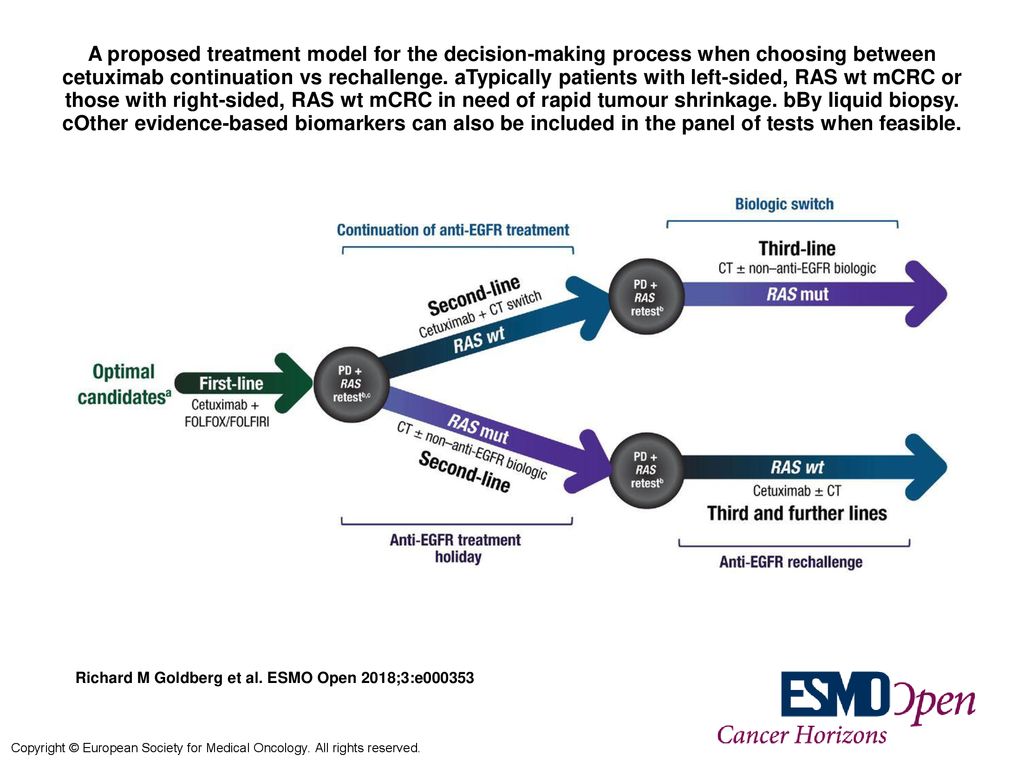 A proposed treatment model for the decision-making process when choosing between cetuximab continuation vs rechallenge. aTypically patients with left-sided, RAS wt mCRC or those with right-sided, RAS wt mCRC in need of rapid tumour shrinkage. bBy liquid biopsy. cOther evidence-based biomarkers can also be included in the panel of tests when feasible.