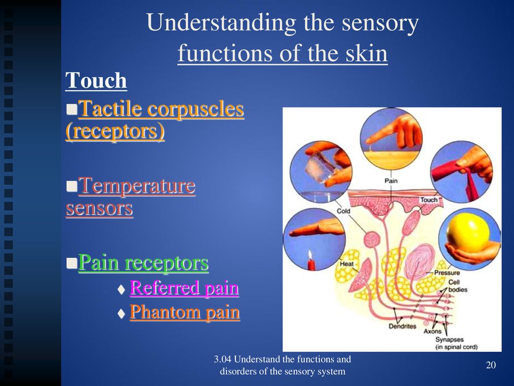 Sensor function Sensor function