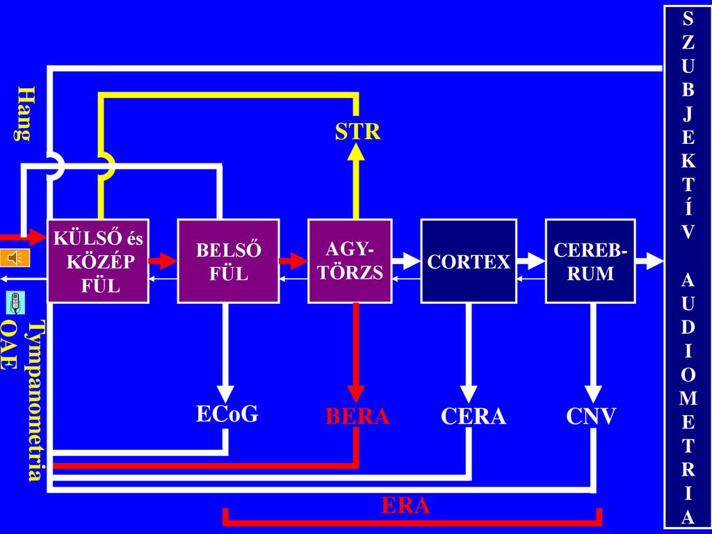 The First Objective Audiometer Wedenberg Ppt Download