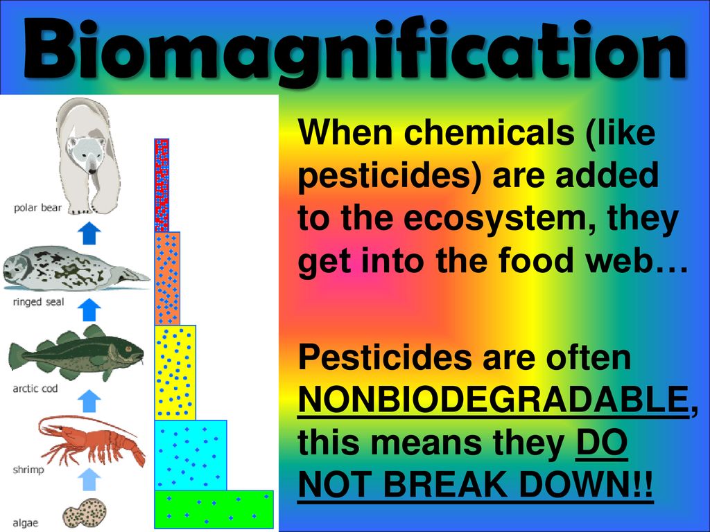 non biodegradable pesticides