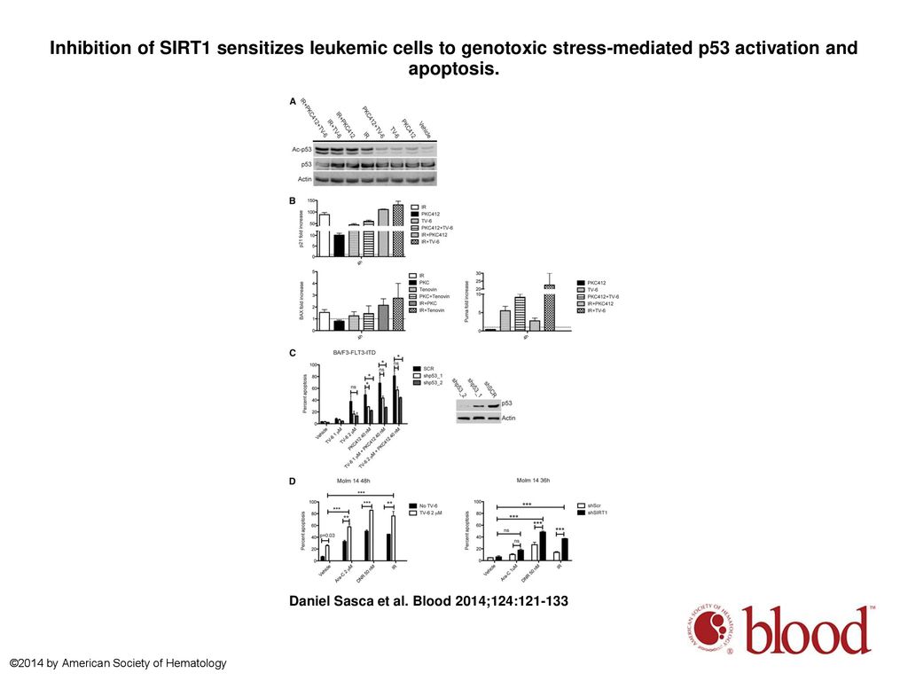 Inhibition of SIRT1 sensitizes leukemic cells to genotoxic stress-mediated p53 activation and apoptosis.