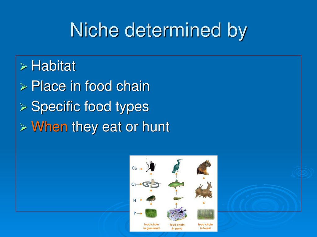 The study of ecosystems Biology Diagrams
