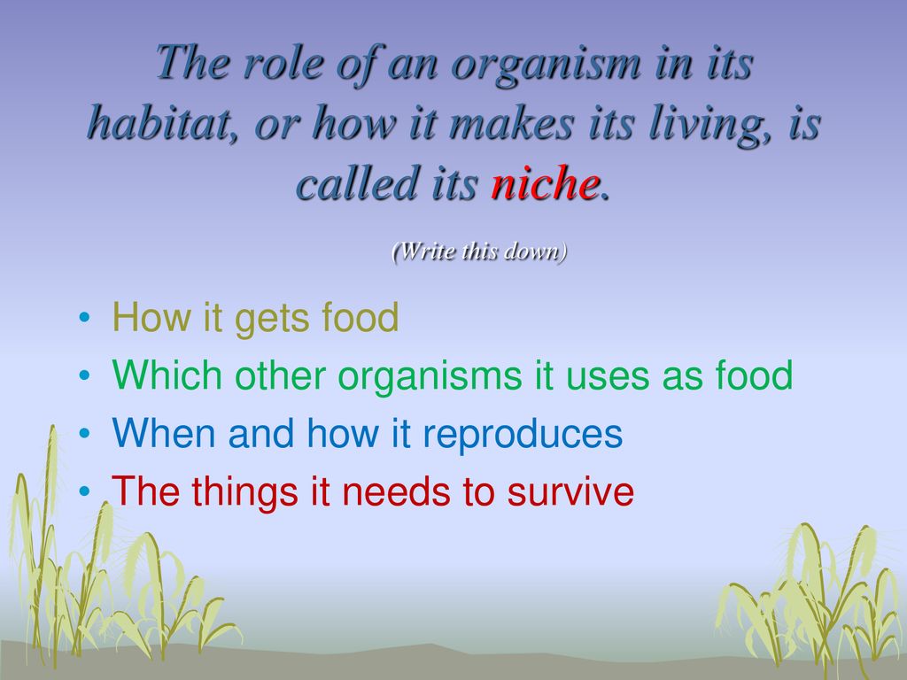 The role of an organism in its habitat, or how it makes its living, is called its niche. (Write this down)