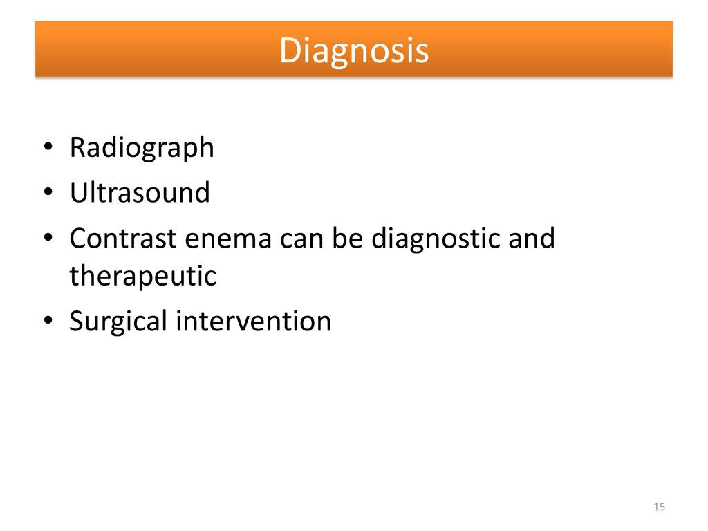 Alteration in Gastrointestinal Function - ppt download