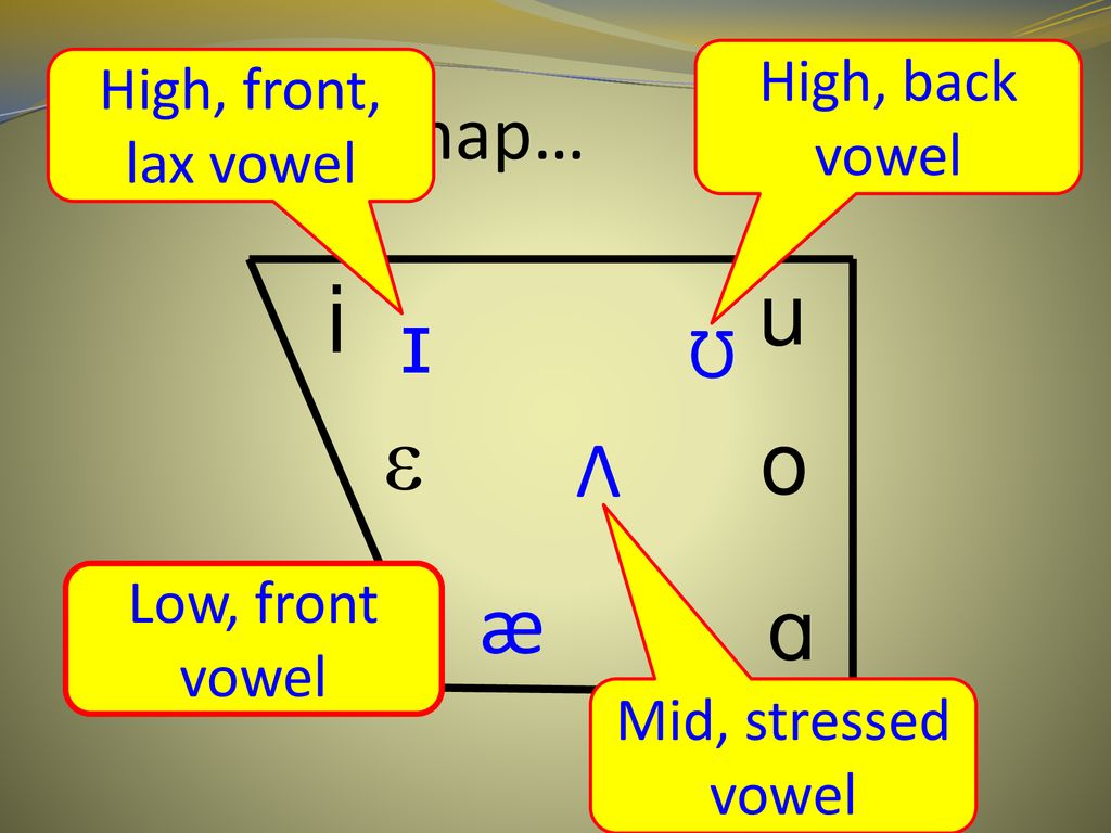 Ipa International Phonetic Alphabet Ppt Download Ipa International Phonetic Alphabet Ppt Download