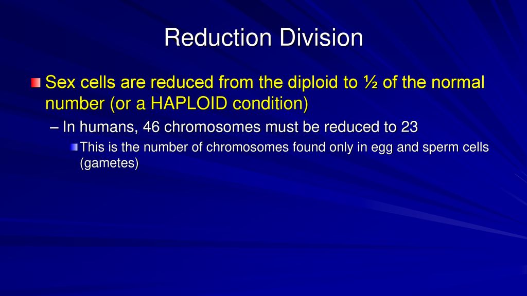 ppt download Biology Diagrams