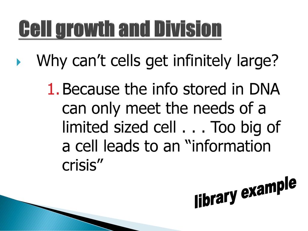Do Now….. Review for your Test Biology Diagrams