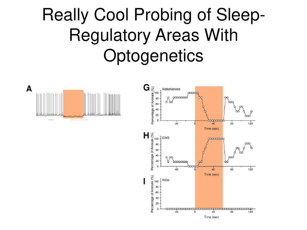 Really Cool Probing of Sleep-Regulatory Areas With Optogenetics