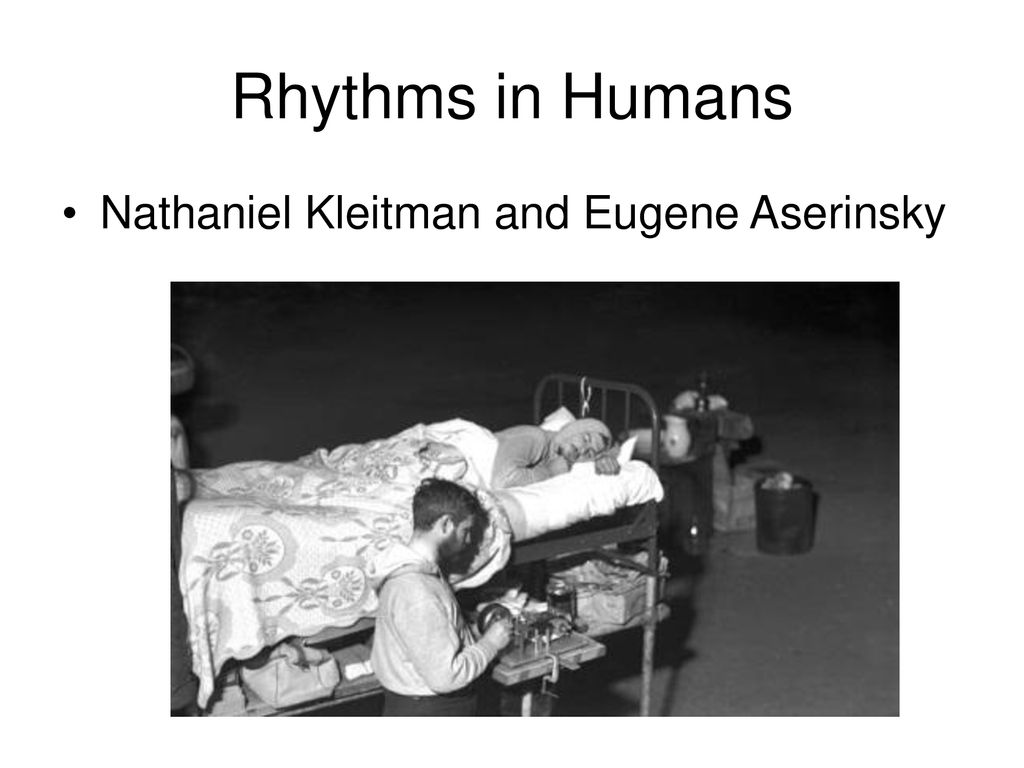 Rhythms in Humans Nathaniel Kleitman and Eugene Aserinsky