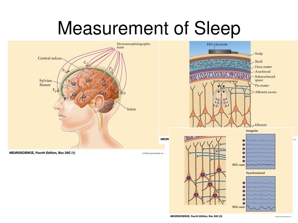 Measurement of Sleep