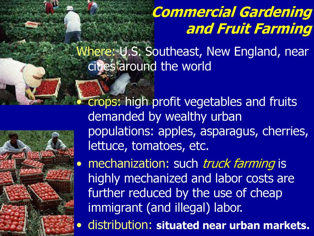 Commercial Gardening and Fruit Farming