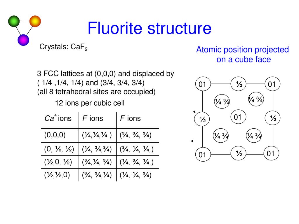 Primitive And Conventional Cells Ppt Download