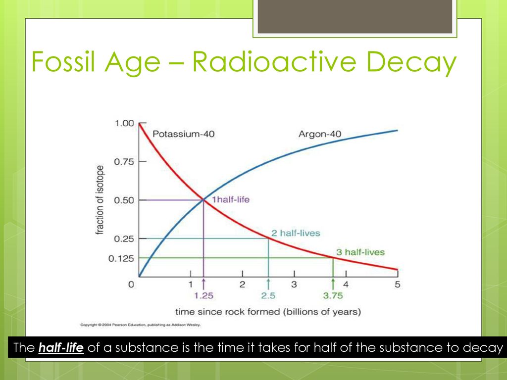 Fossil Age – Radioactive Decay