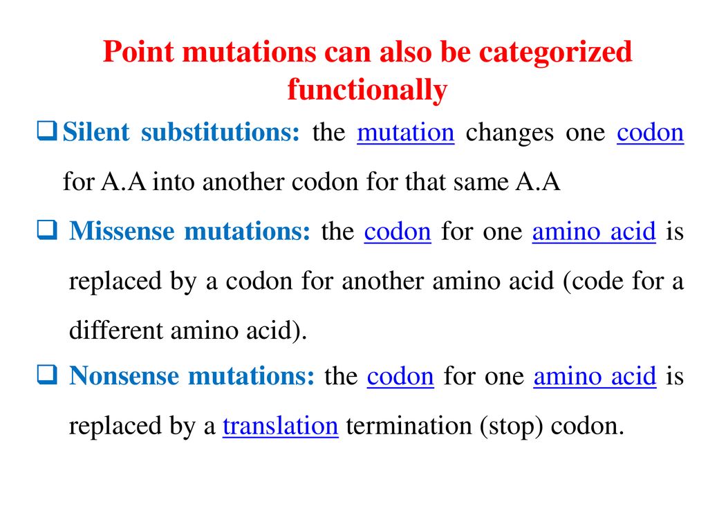 Point mutations can also be categorized functionally