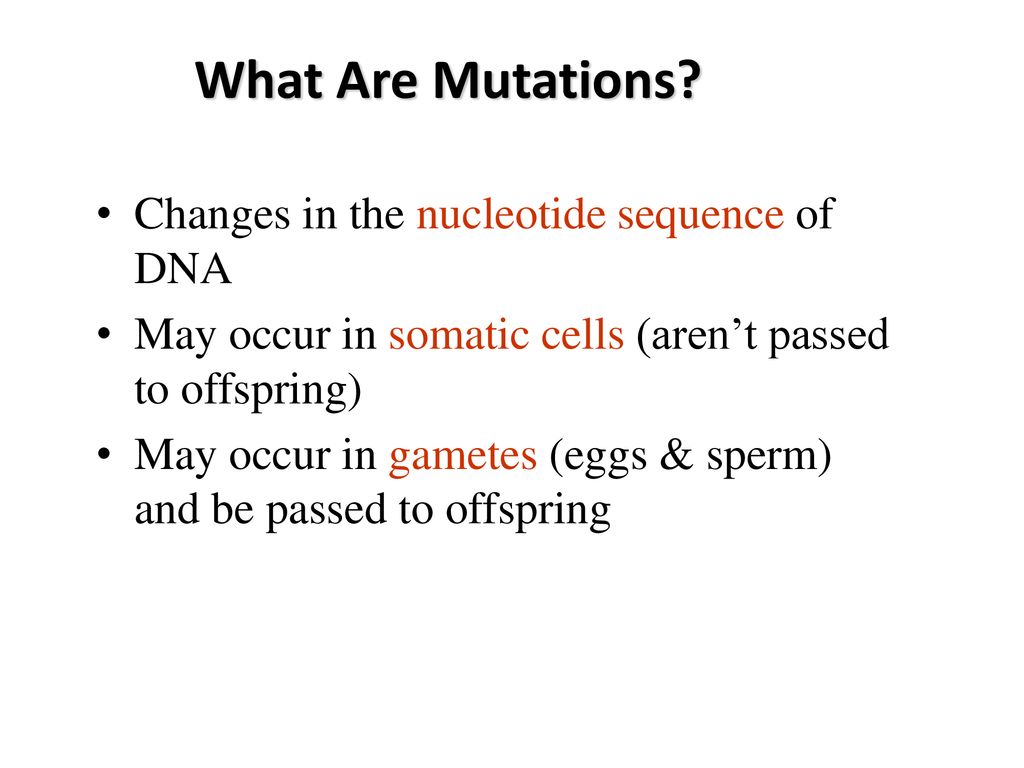 What Are Mutations Changes in the nucleotide sequence of DNA