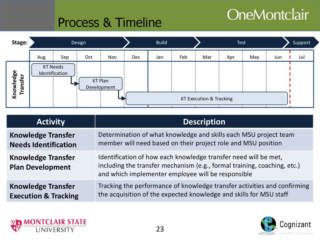 Process & Timeline Activity Description