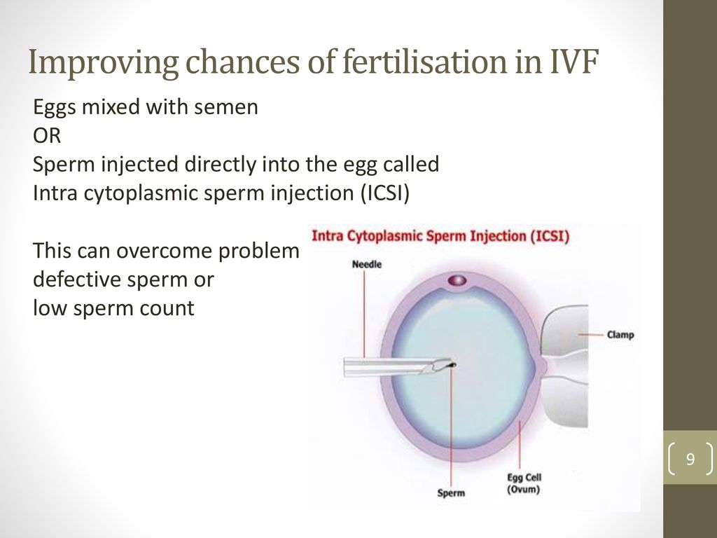 c The biology of controlling fertility - ppt download