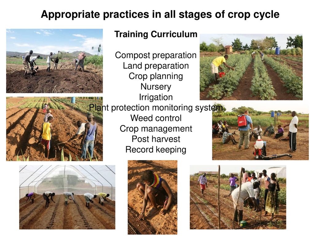 Appropriate practices in all stages of crop cycle