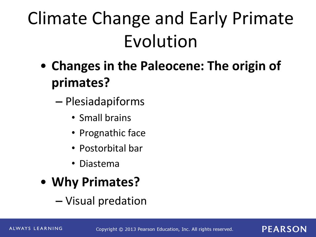 Chapter 9 Geology And Primate Origins - Ppt Download