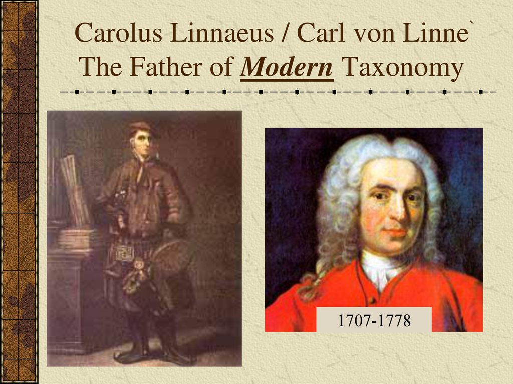KINGDOMS OF LIFE Taxonomy ppt download