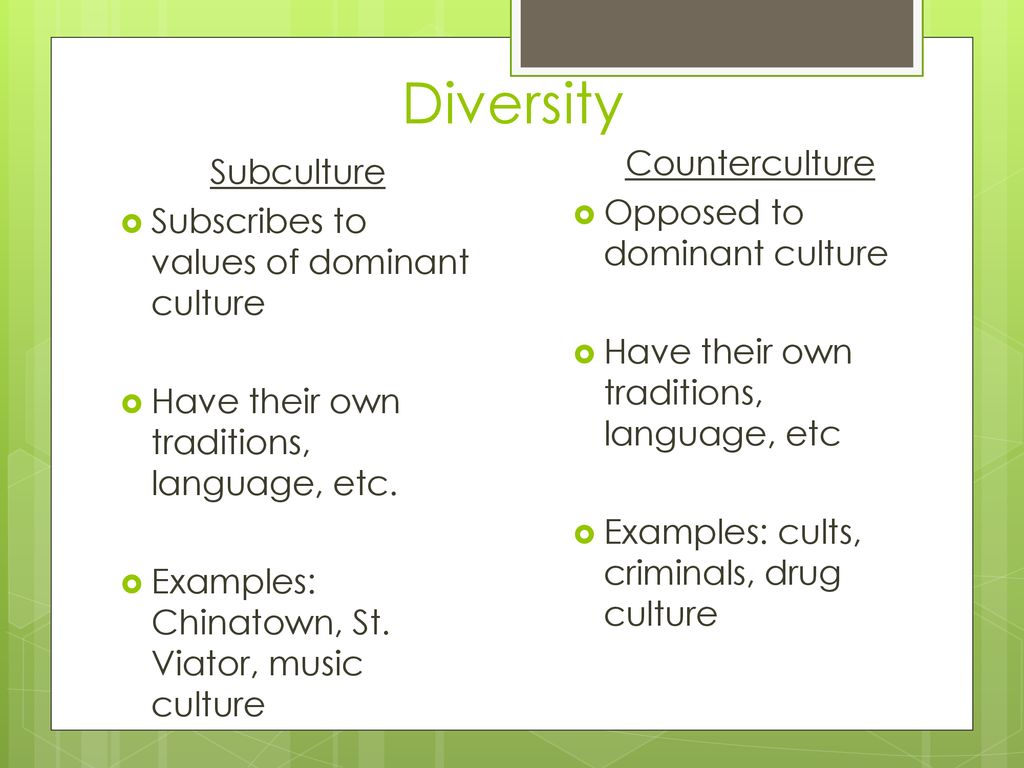 Material & Nonmaterial Culture ppt download
