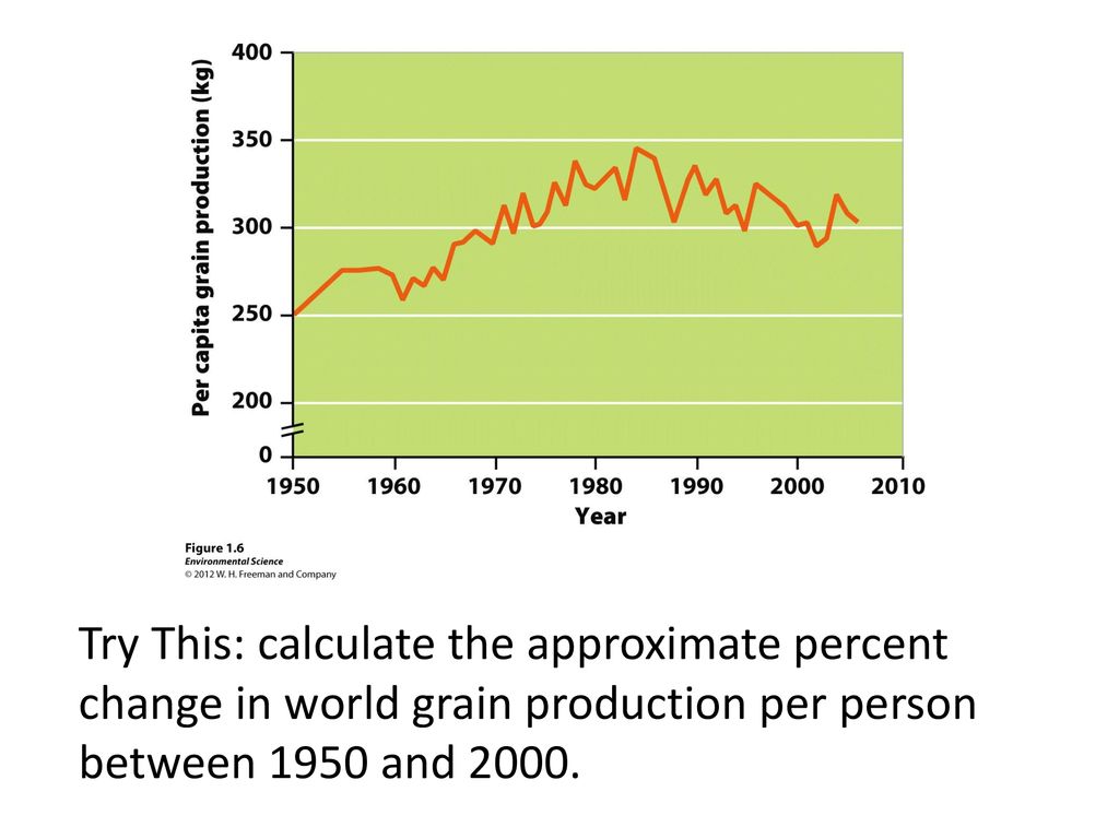 Try This: calculate the approximate percent change in world grain production per person between 1950 and 2000.