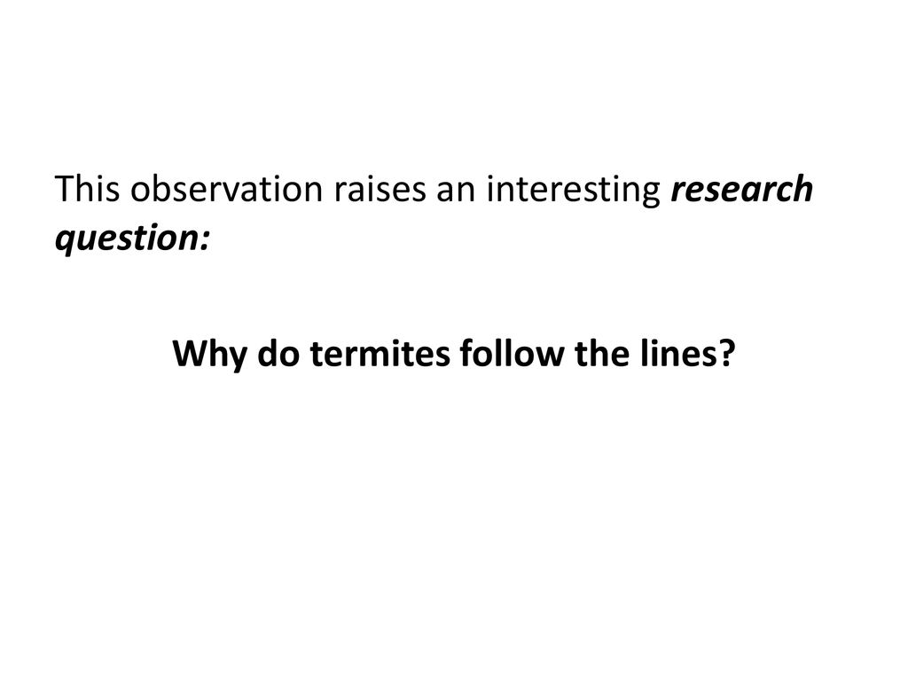 Scientific vocab words ppt download