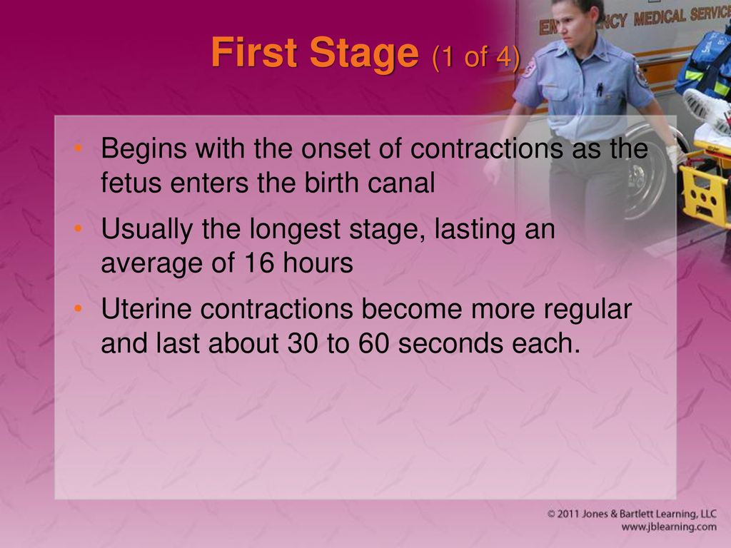 First Stage (1 of 4) Begins with the onset of contractions as the fetus enters the birth canal.